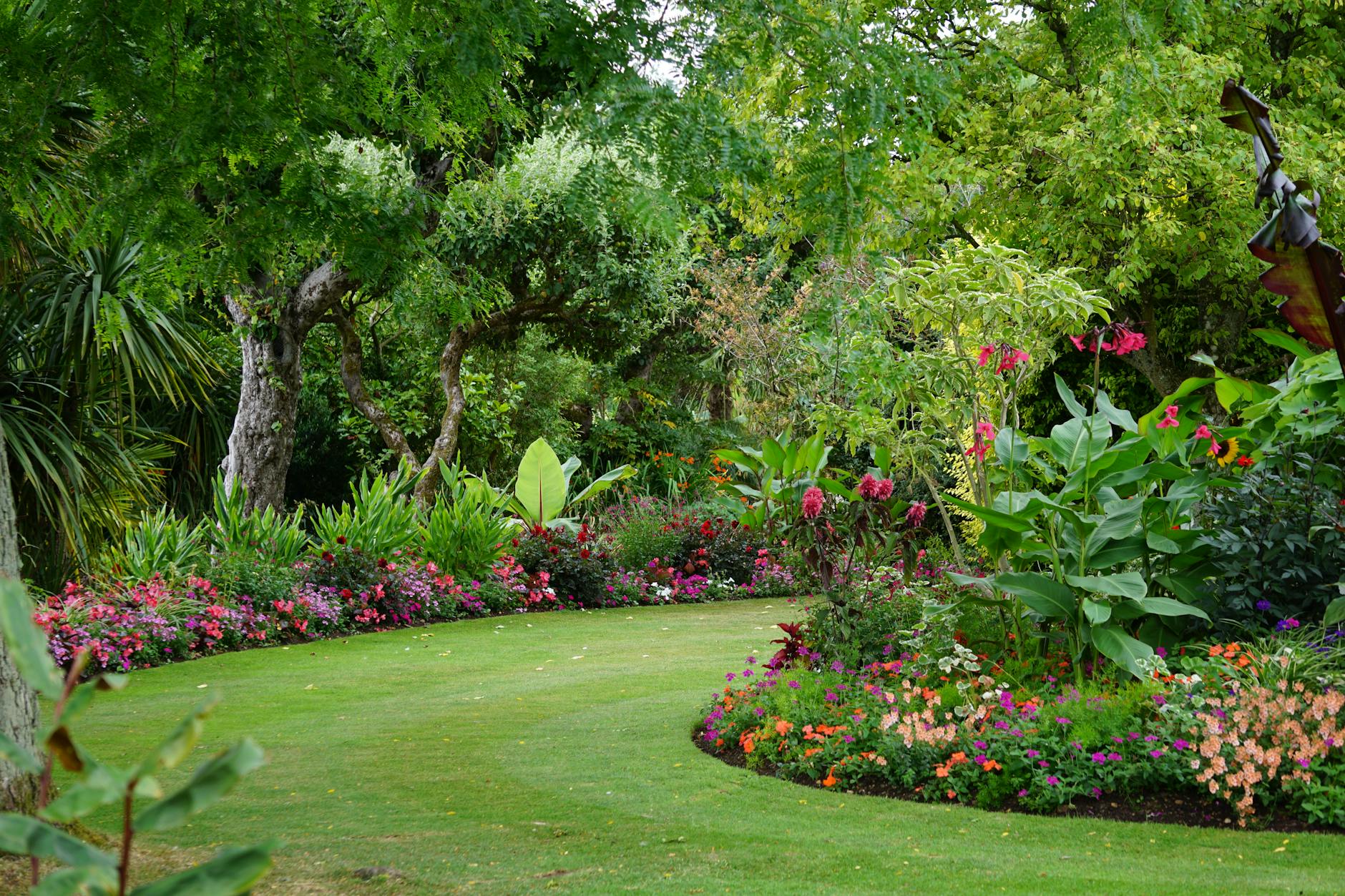 Verdant garden.